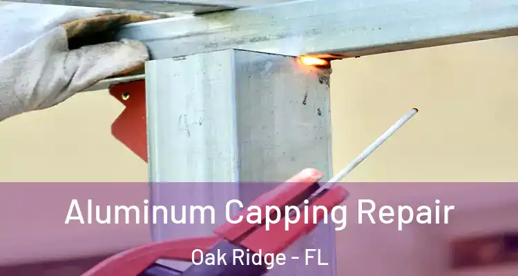 Aluminum Capping Repair Oak Ridge - FL