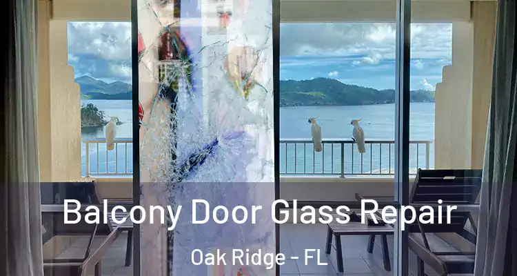 Balcony Door Glass Repair Oak Ridge - FL