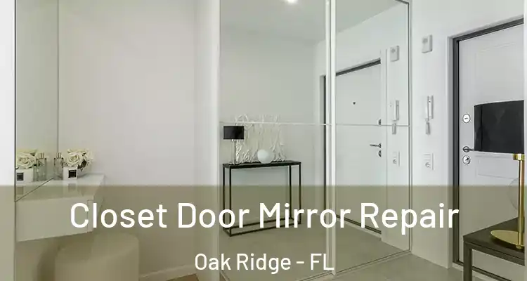 Closet Door Mirror Repair Oak Ridge - FL