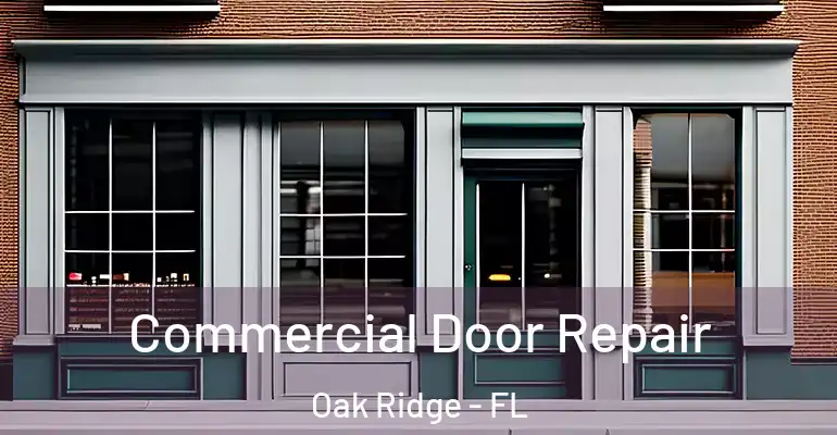Commercial Door Repair Oak Ridge - FL