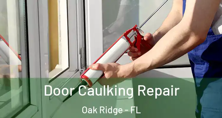 Door Caulking Repair Oak Ridge - FL