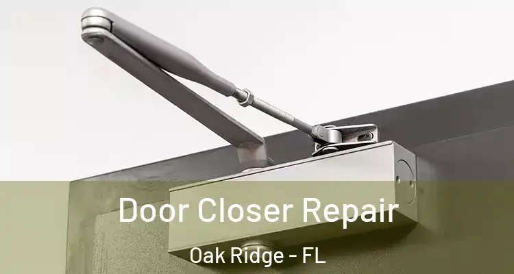 Door Closer Repair Oak Ridge - FL