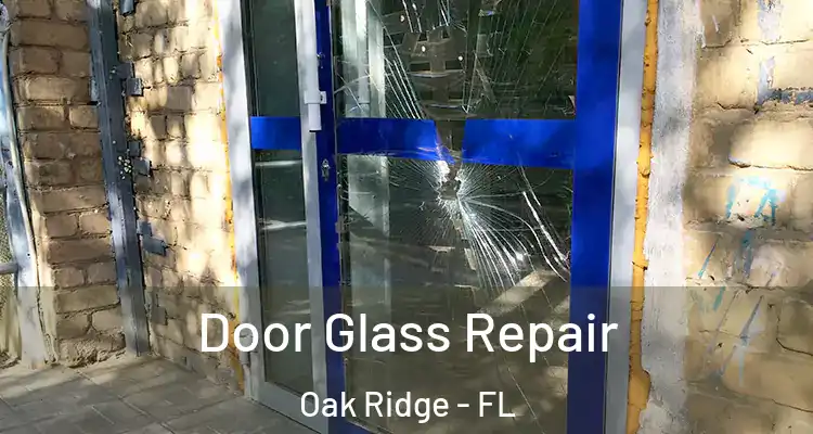 Door Glass Repair Oak Ridge - FL