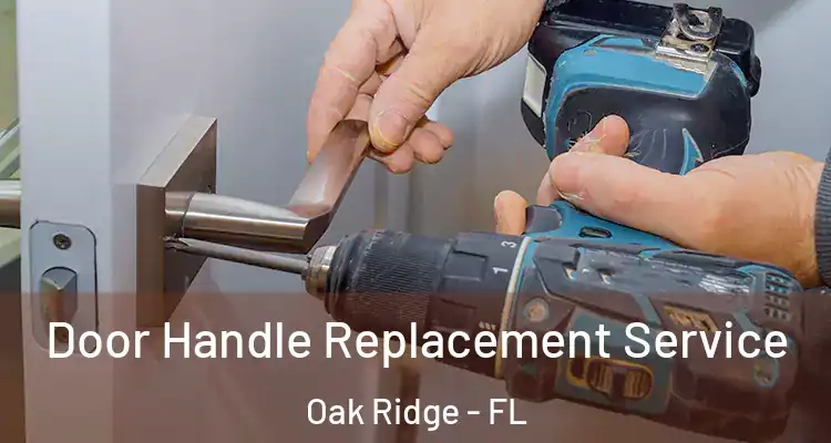 Door Handle Replacement Service Oak Ridge - FL