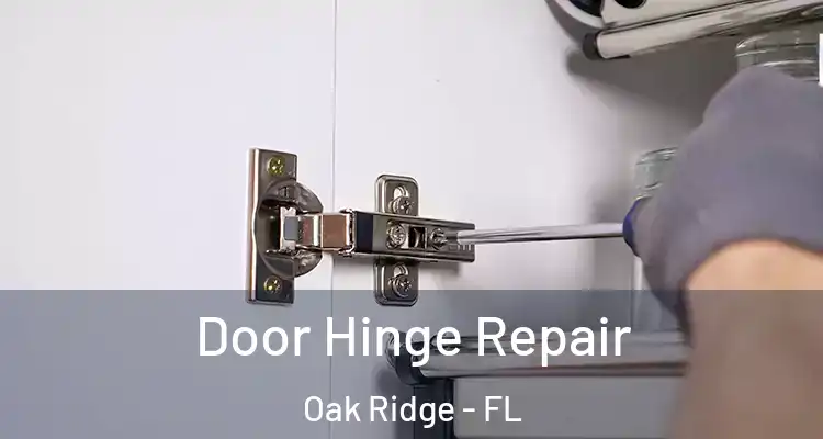 Door Hinge Repair Oak Ridge - FL