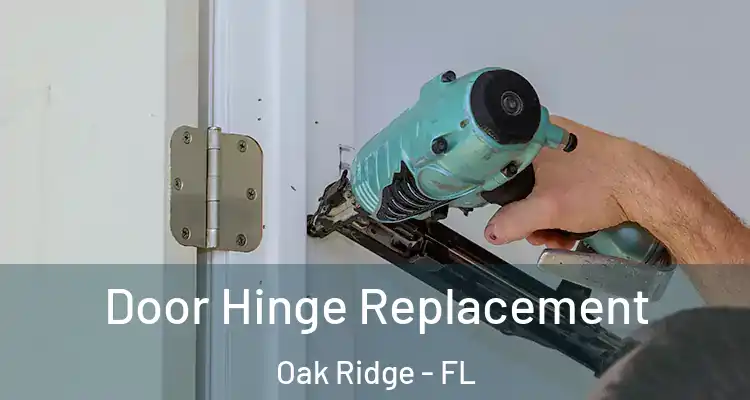Door Hinge Replacement Oak Ridge - FL