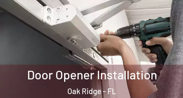 Door Opener Installation Oak Ridge - FL