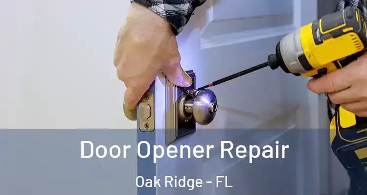 Door Opener Repair Oak Ridge - FL