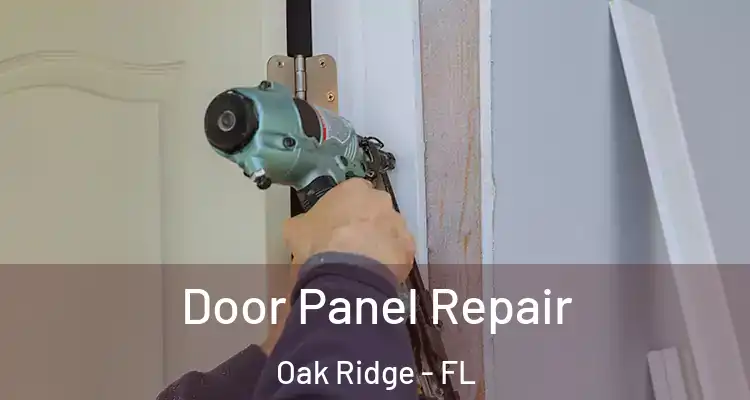 Door Panel Repair Oak Ridge - FL