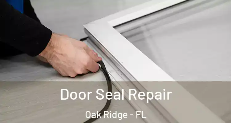 Door Seal Repair Oak Ridge - FL