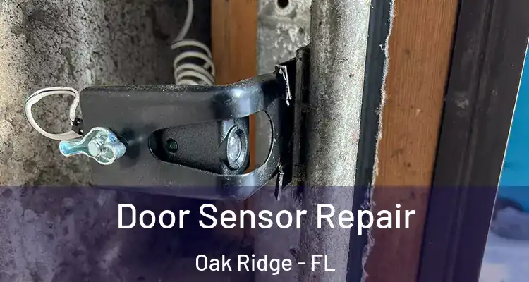 Door Sensor Repair Oak Ridge - FL