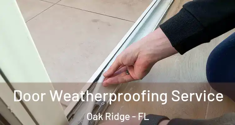 Door Weatherproofing Service Oak Ridge - FL