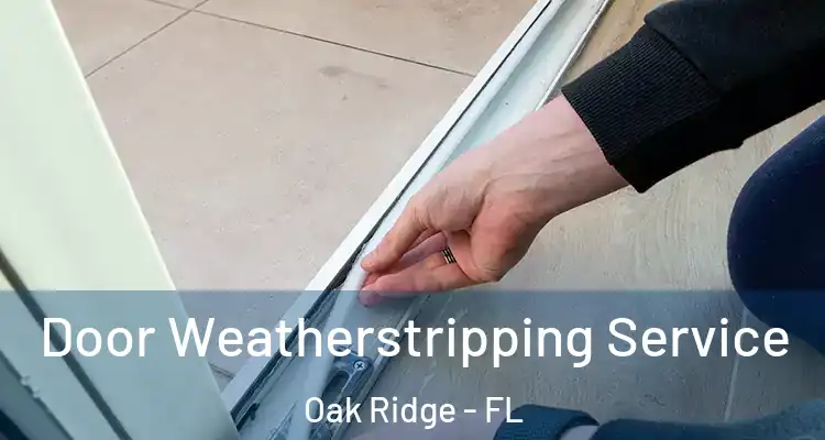 Door Weatherstripping Service Oak Ridge - FL