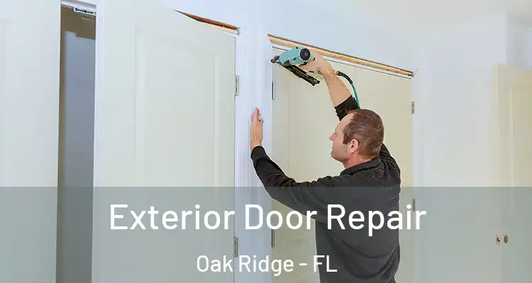 Exterior Door Repair Oak Ridge - FL