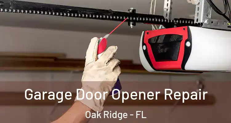 Garage Door Opener Repair Oak Ridge - FL