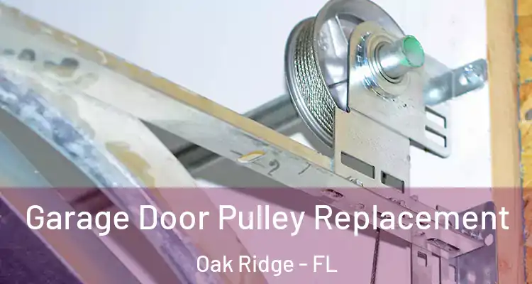 Garage Door Pulley Replacement Oak Ridge - FL