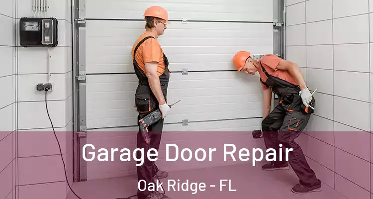 Garage Door Repair Oak Ridge - FL