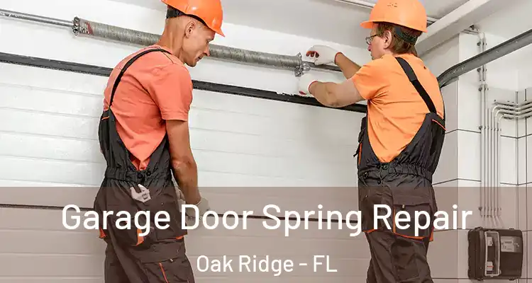 Garage Door Spring Repair Oak Ridge - FL