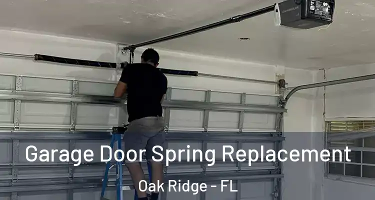 Garage Door Spring Replacement Oak Ridge - FL