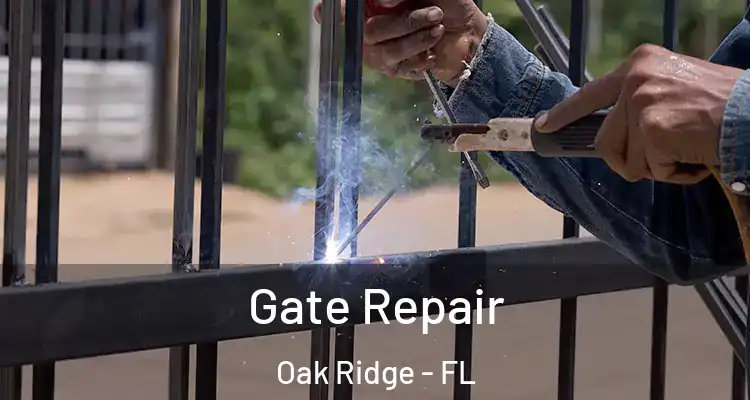 Gate Repair Oak Ridge - FL