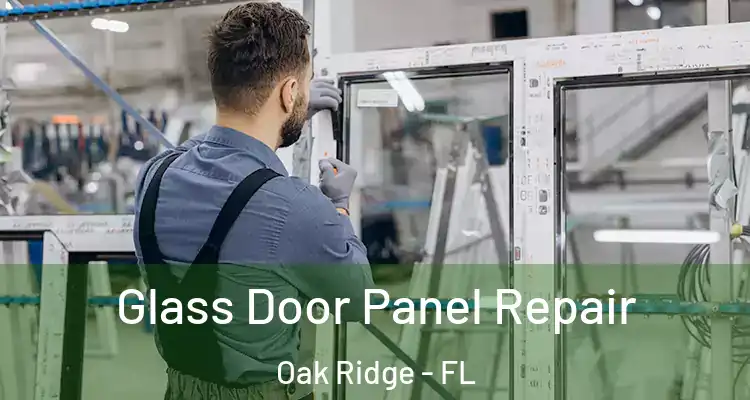 Glass Door Panel Repair Oak Ridge - FL