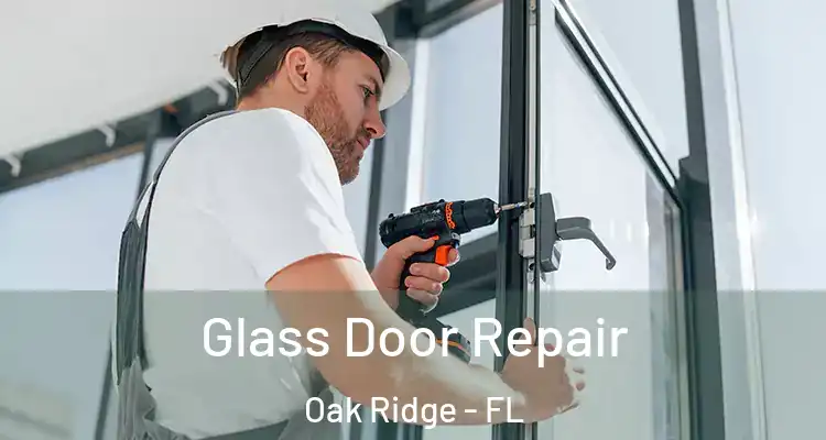Glass Door Repair Oak Ridge - FL