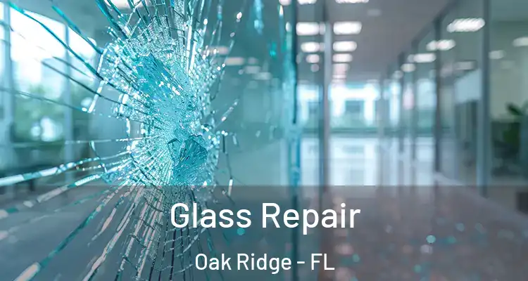 Glass Repair Oak Ridge - FL