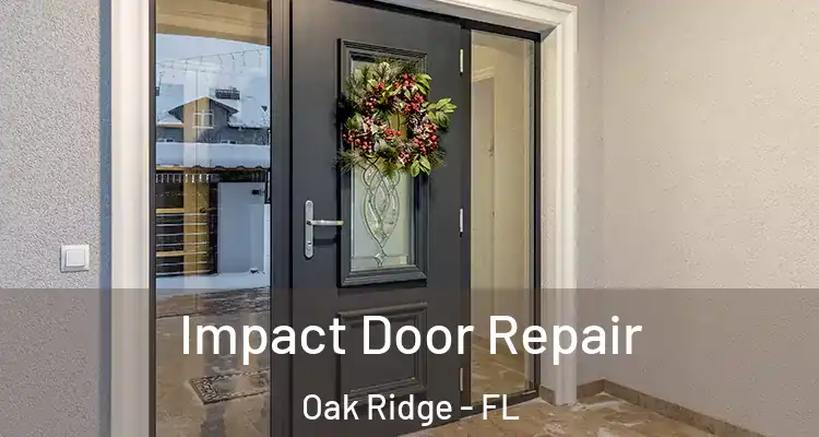 Impact Door Repair Oak Ridge - FL
