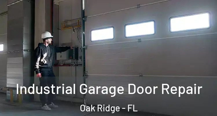 Industrial Garage Door Repair Oak Ridge - FL