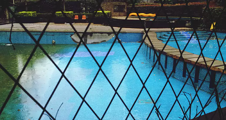 Lanai Screen Repair in Oak Ridge, FL