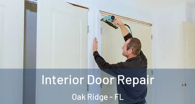 Interior Door Repair Oak Ridge - FL