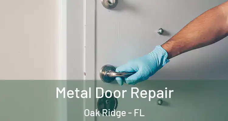 Metal Door Repair Oak Ridge - FL