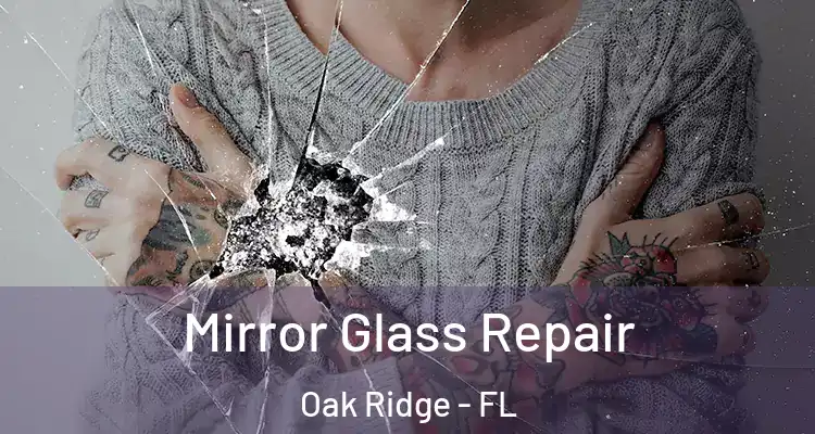 Mirror Glass Repair Oak Ridge - FL