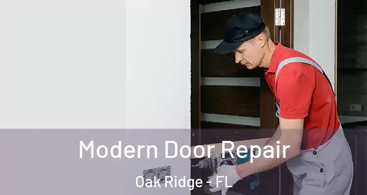 Modern Door Repair Oak Ridge - FL