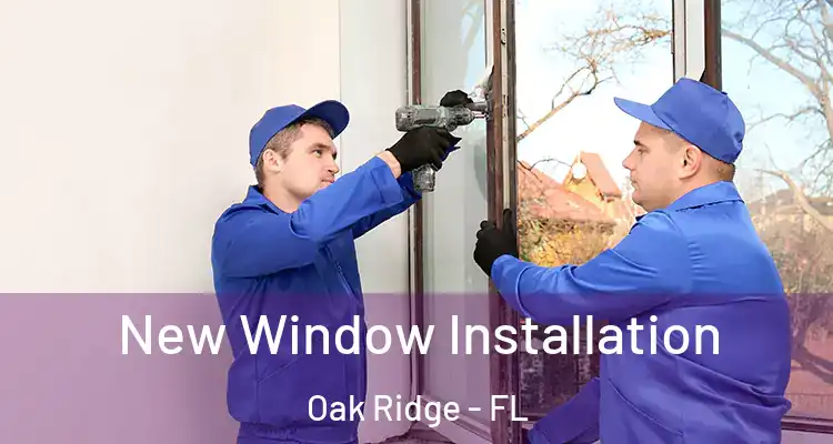 New Window Installation Oak Ridge - FL
