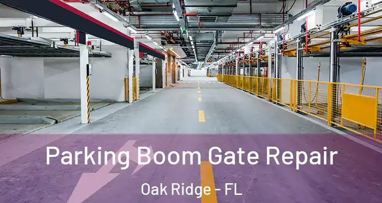 Parking Boom Gate Repair Oak Ridge - FL