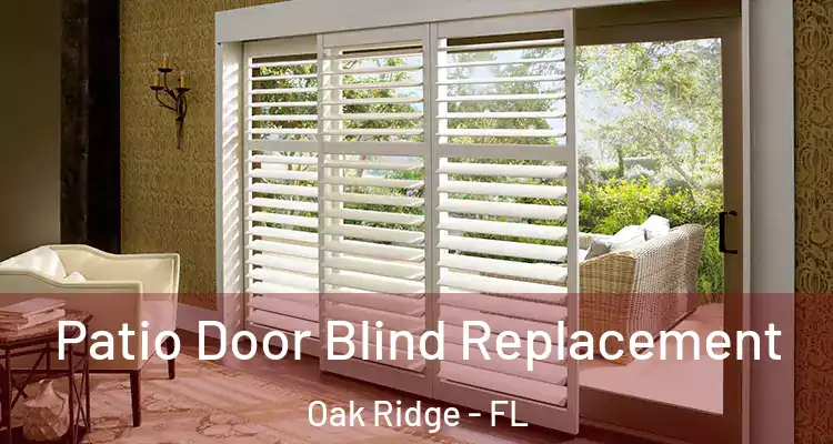Patio Door Blind Replacement Oak Ridge - FL