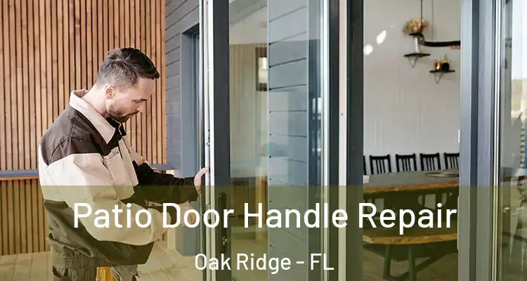 Patio Door Handle Repair Oak Ridge - FL