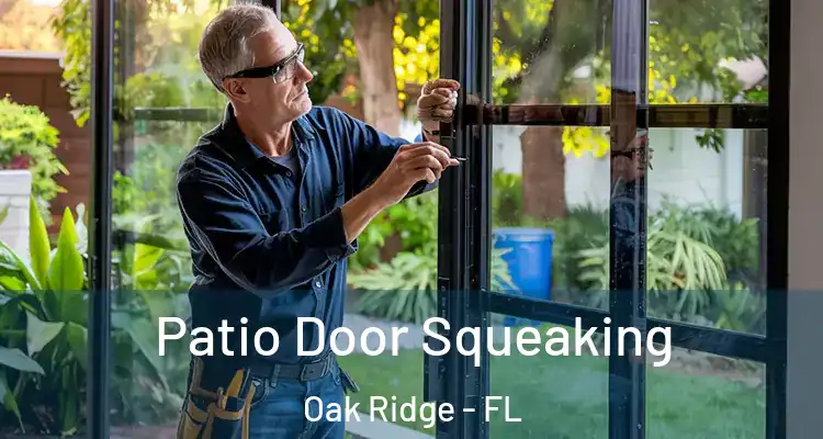 Patio Door Squeaking Oak Ridge - FL