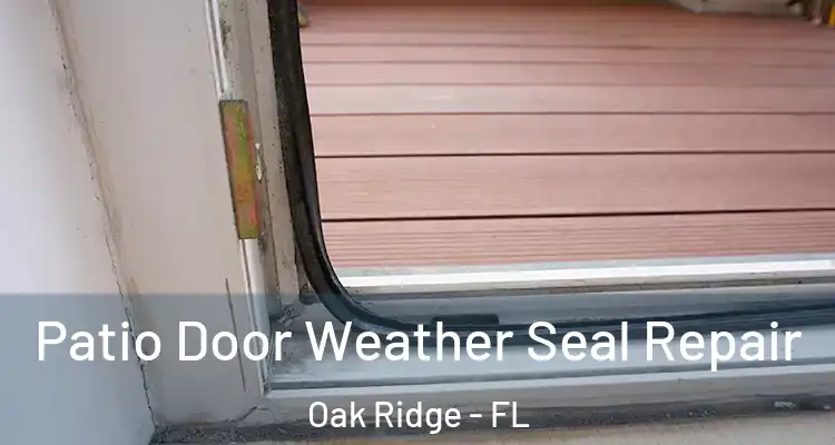 Patio Door Weather Seal Repair Oak Ridge - FL