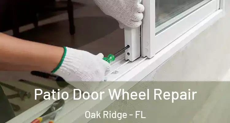 Patio Door Wheel Repair Oak Ridge - FL