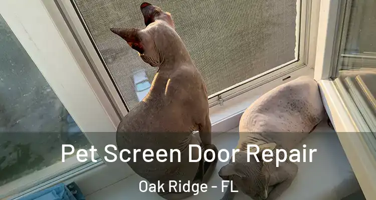 Pet Screen Door Repair Oak Ridge - FL
