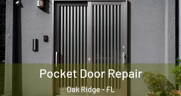 Pocket Door Repair Oak Ridge - FL
