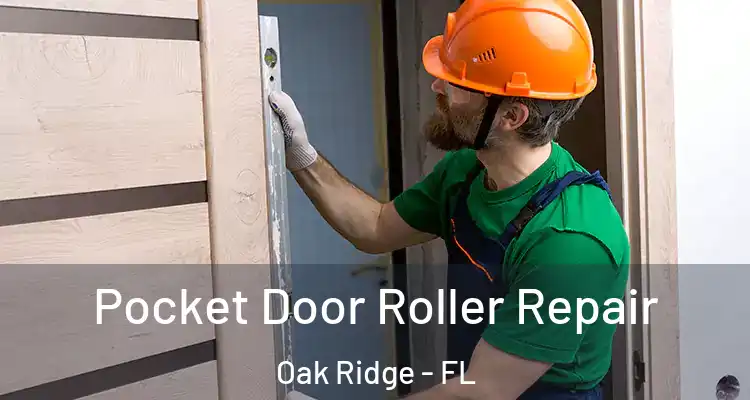 Pocket Door Roller Repair Oak Ridge - FL