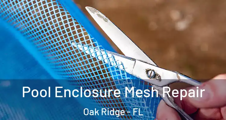 Pool Enclosure Mesh Repair Oak Ridge - FL