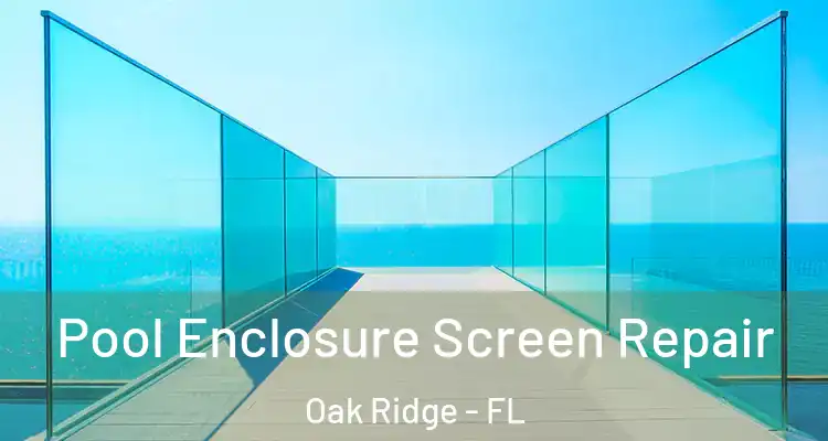 Pool Enclosure Screen Repair Oak Ridge - FL