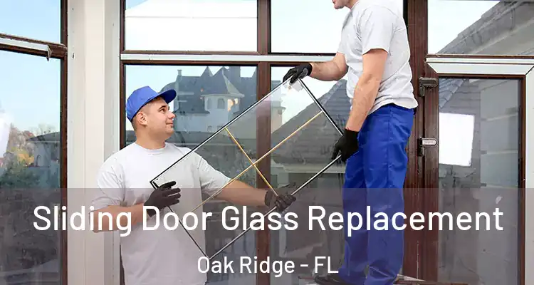 Sliding Door Glass Replacement Oak Ridge - FL