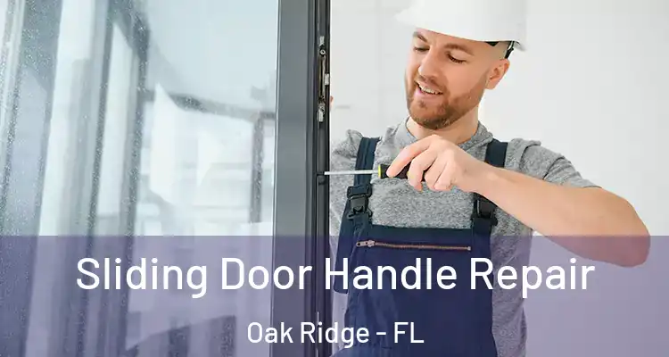 Sliding Door Handle Repair Oak Ridge - FL
