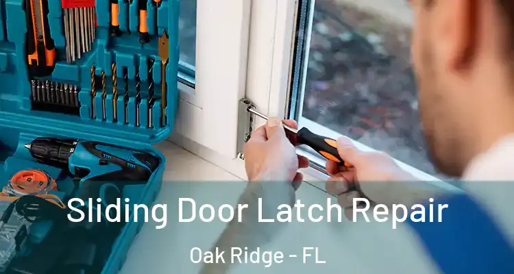 Sliding Door Latch Repair Oak Ridge - FL