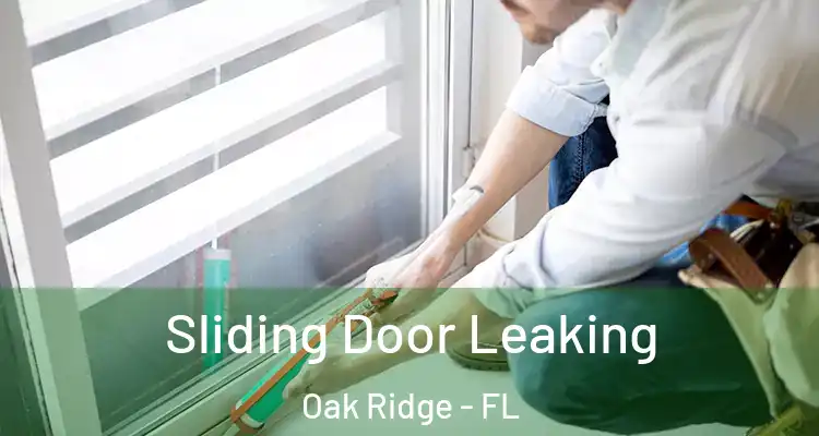 Sliding Door Leaking Oak Ridge - FL